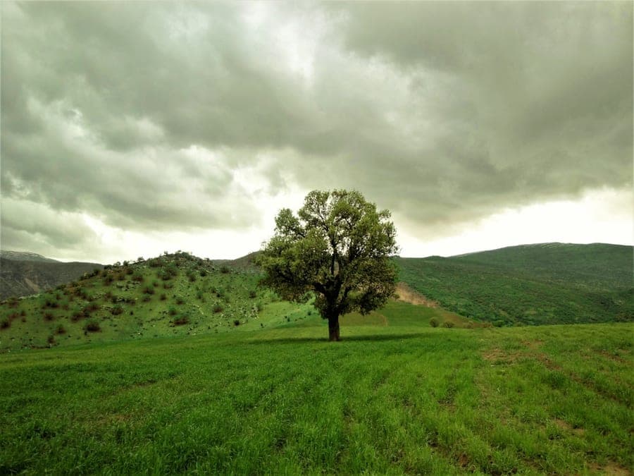 طبیعت بکر ایران
