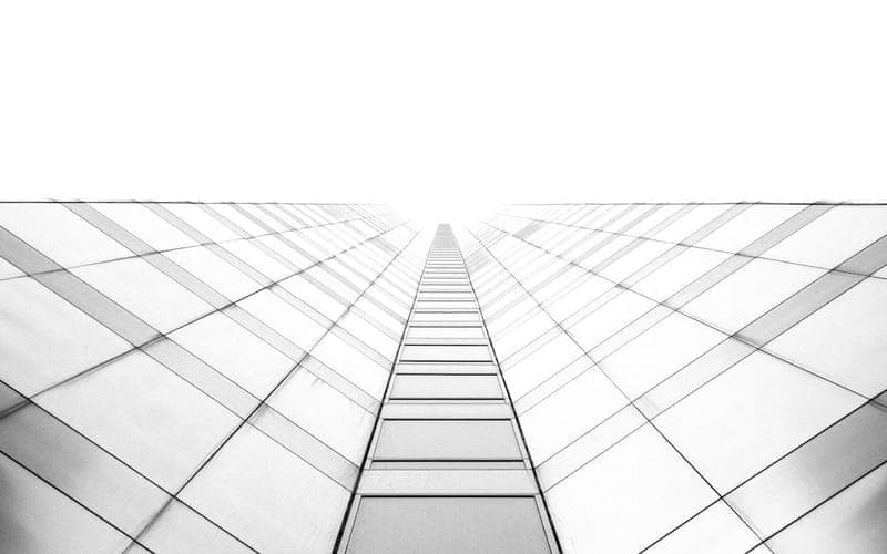 درختان بلند جنگل — ارتفاعات البرز (1)