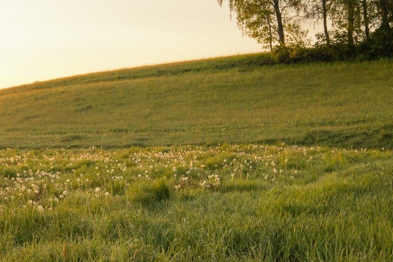 رودخانه کوهستانی — غروب‌های به یاد ماندنی (2)
